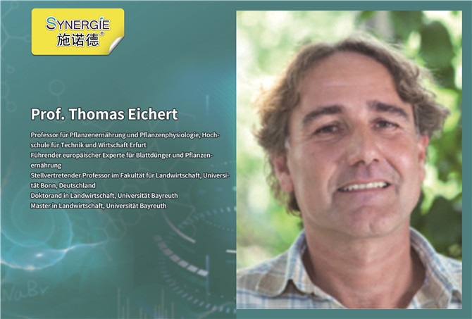 Prof.Thomas Eichert