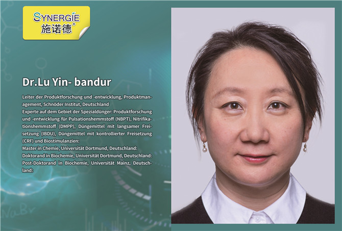 Dr.Lu Yin- bandur