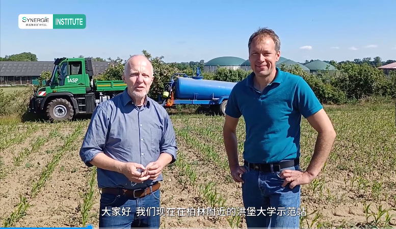 Humboldt University Agricultural and Urban Ecology Project Research Institute Corn Experiment