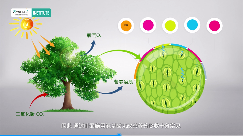 Biostimulants Classroom (2)