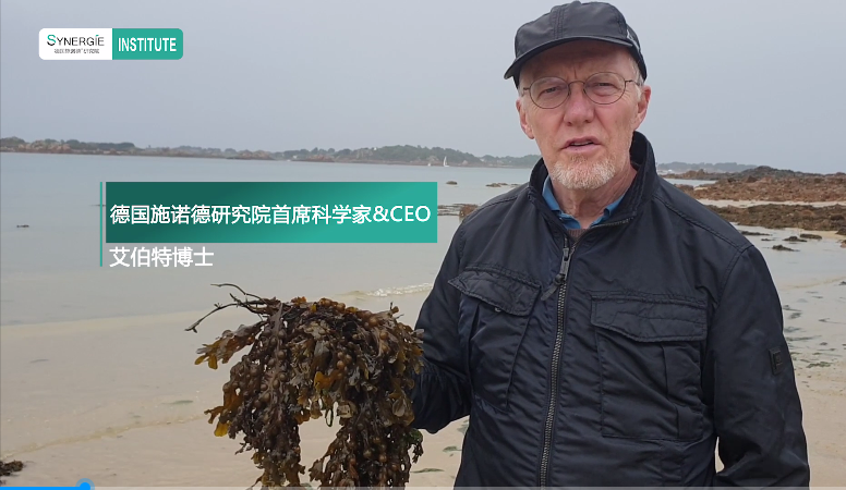 Seaweed Extract Classroom