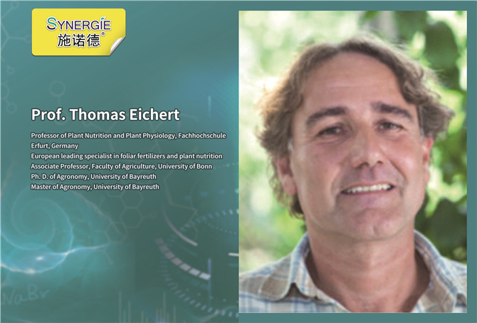 Prof.Thomas Eichert