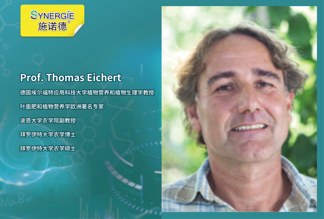 Prof.Thomas Eichert