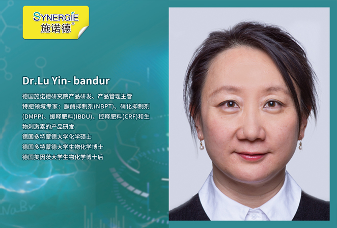 Dr.Lu Yin- bandur